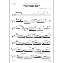 Capriccio fantastico : sull'opera Rigoletto di G. Verdi