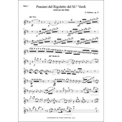 Pensieri sul Rigoletto Op.55