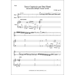 Terzo Capriccio from 'Traviata' Op.48