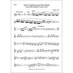 Terzo Capriccio from 'Traviata' Op.48