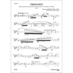 Fantasia after Carl Maria von Weber's Freischutz : Op. 36