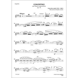 Concertino Op. 10, for Flute and Piano