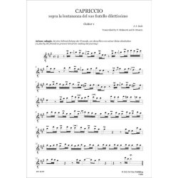 Capriccio sopra la lontananza : del suo fratello dilettissimo BWV 992, Transcription for Guitar Trio