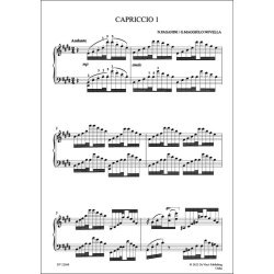 24 Capricci Op. 1, Piano Solo Version : [Homage to Paganini Il Canto dell'Angelo]
