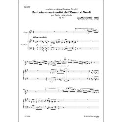 Fantasia su vari temi dell'Ernani di Verdi Op. 40