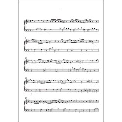 Solfeggi per principianti di musica