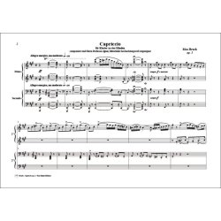 Capriccio Op.2, for Piano 4 Hands