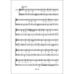 Cantate a voce sola, Bologna 1691 : Pian & Forte Vol. 004