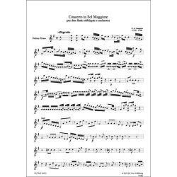 Concerto for 2 Flute and Orchestra in G major