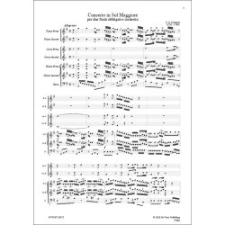 Concerto for 2 Flute and Orchestra in G major