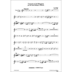 Concerto for 2 Flute and Orchestra in G major