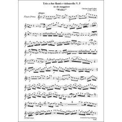 Trio No.5 'Welker', a due flauti e violoncello