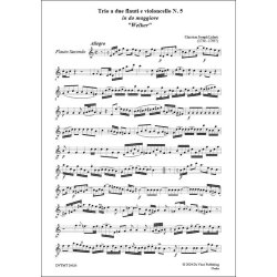 Trio No.5 'Welker', a due flauti e violoncello