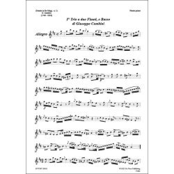 Trio in re maggiore N.1, per due flauti e basso