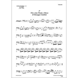 Trio in re maggiore N.1, per due flauti e basso