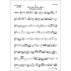 Trio in re maggiore N.1, per due flauti e basso