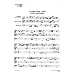 Trio in re maggiore N.1, per due flauti e basso