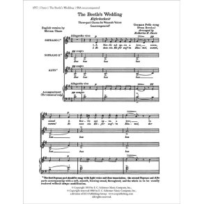 The Beetle's Wedding : Kaeferhochzeit