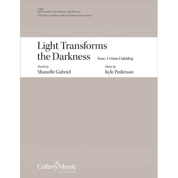 Light Transforms the Darkness : from A Vision Unfolding