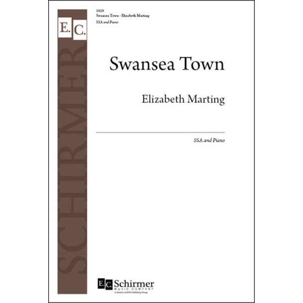Swansea Town