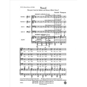 The Nativity According to St. Luke: Nowel