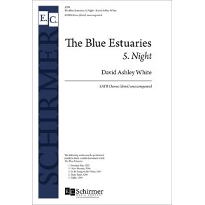 The Blue Estuaries: 5. Night