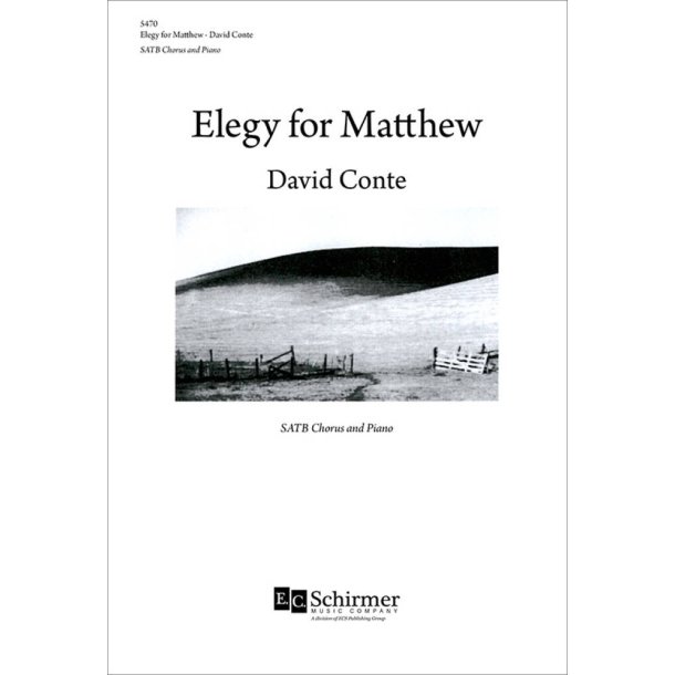 Elegy for Matthew