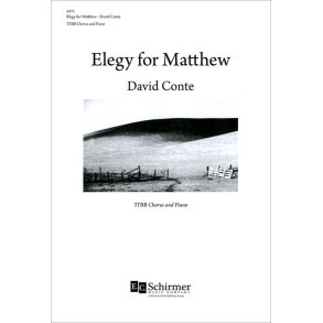 Elegy for Matthew