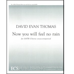 Now You Will Feel No Rain