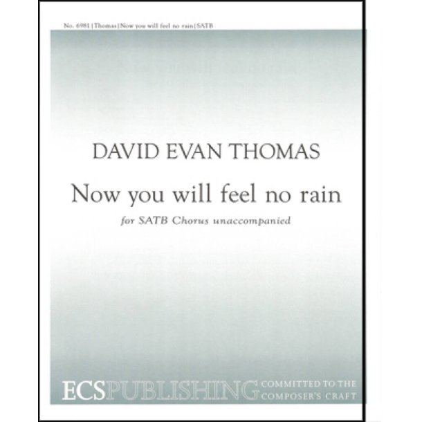 Now You Will Feel No Rain