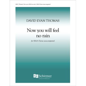 Now You Will Feel No Rain