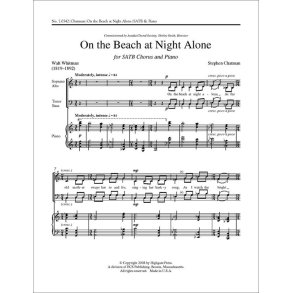 On the Beach at Night Alone