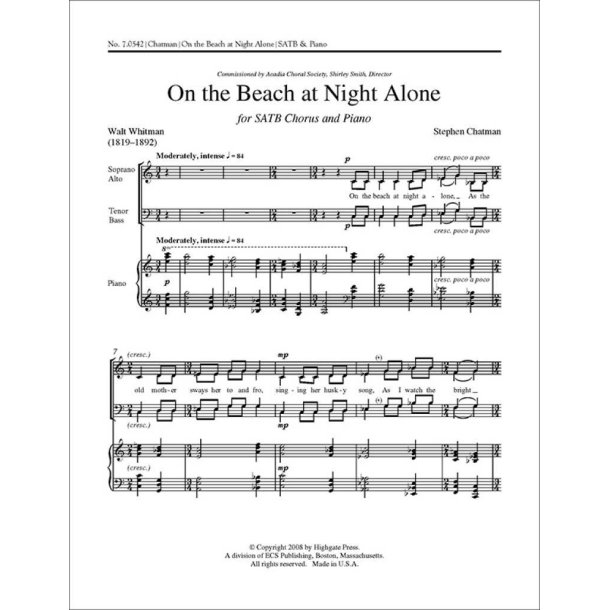 On the Beach at Night Alone