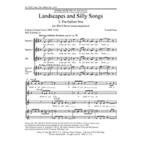 Landscapes and Silly Songs: No. 2 The Gallant One