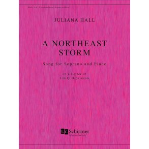 A Northeast Storm