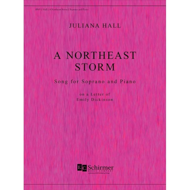 A Northeast Storm