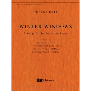 Winter Windows