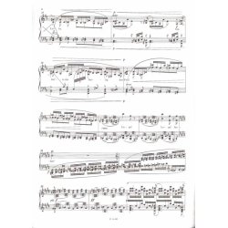 Feuerzauber aus der Oper Die Walk&uuml;re : aus der Oper Die Walk&uuml;re'