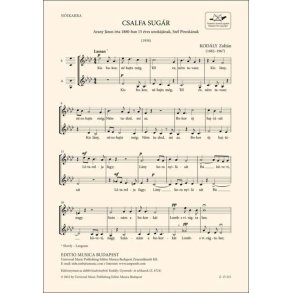 Csalfa sugár : n?ikarra, két szólamra