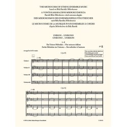 The Microcosm of String Ensemble Music 1