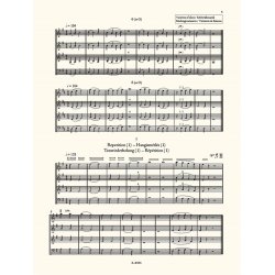 The Microcosm of String Ensemble Music 1