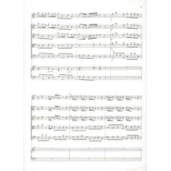 Concerto In Sol Maggiore Rv 436 -F Vi-8