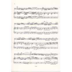 Concerto In Do Maggiore Per Fagotto E Pianoforte R