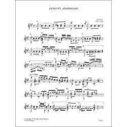 Spanische Gitarrenmusik