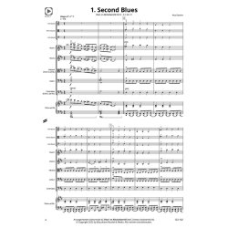 Ons tweede concert! : 7 stukjes uit Viool- en Altvioolwereld deel 2 voor strijkorkest