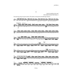 Studi per violino - Fasc. II: IV-V posizione : Dal grado elementare agli Studi di Kreutzer