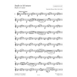 Studi per clarinetto - &Eacute;tudes for clarinet : con accompagnamenti pianistici di | with piano accompaniments by  Daniele Rossi
