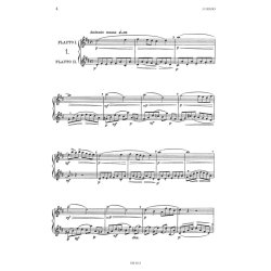 La scuola del flauto op. 51 : Divisa in quattro gradi ed esposta in duettini originali e progressivi