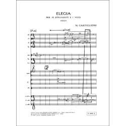 Elegia : per 19 strumenti e una voce