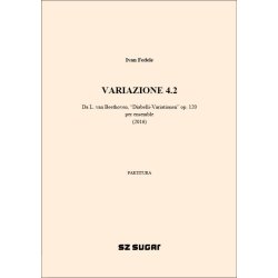 Variazione 4.2 : per ensemble (2016)